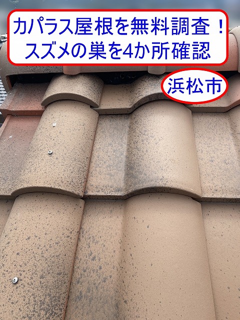 浜松市で洋風瓦カパラス屋根を点検｜棟のスポンジ状防水材の穴あき、スズメの巣を4か所確認